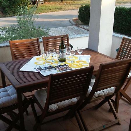 Delfin Lägenhet Novigrad Istria Exteriör bild