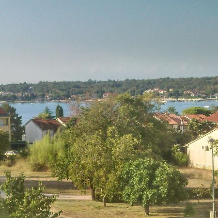 Delfin Lägenhet Novigrad Istria Exteriör bild