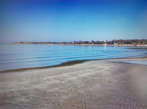 Delfin Lägenhet Novigrad Istria Exteriör bild