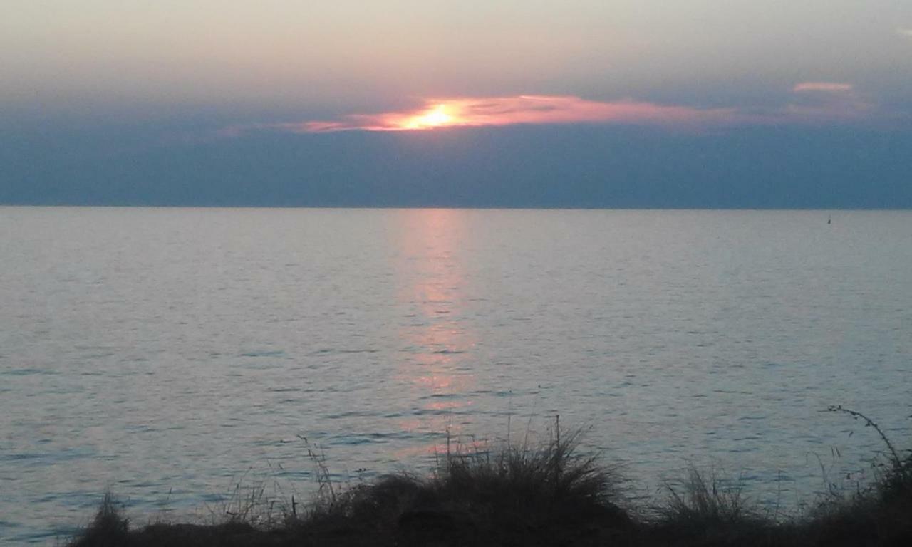Delfin Lägenhet Novigrad Istria Exteriör bild