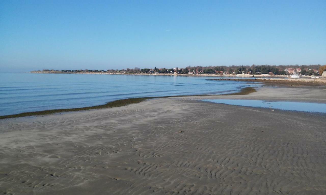 Delfin Lägenhet Novigrad Istria Exteriör bild