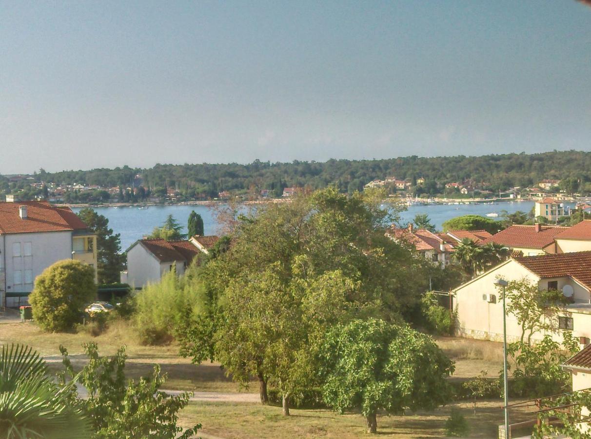 Delfin Lägenhet Novigrad Istria Exteriör bild